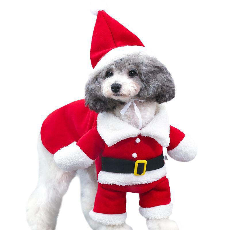 Pet Standing Santa Costume — Funny Christmas Outfit for Dogs & Cats